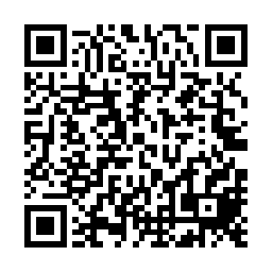 怕也不能轻轻松松的拿出这笔买命钱甚至都不是什么买命钱二维码生成