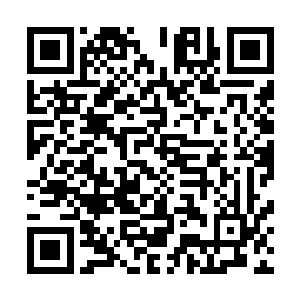 怕是也会和一般人一样以为这葬花宫宫主是个娇弱女子罢了二维码生成