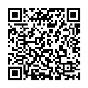 怕是恨不得将所有的东西全划拉到自己的储物手镯内二维码生成
