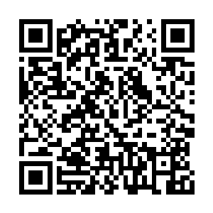 怕真的是……元帅也只是履行当初与陛下之承诺二维码生成