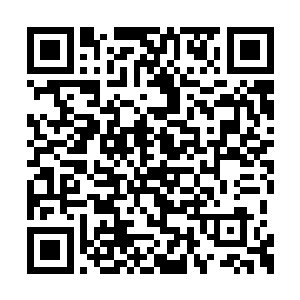 思艺传媒对她已经有了一整套的包装和宣传手法二维码生成