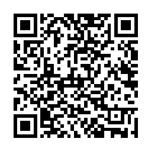 怡南系上的小手镯正好就挤在一块全黑色的手表边二维码生成