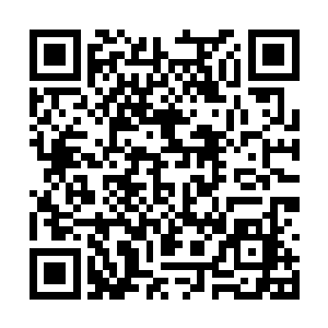 急切之间不明白为什么许紫烟能够将储物箱收起来二维码生成