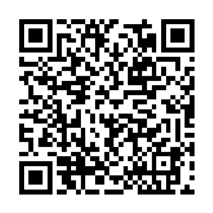 急救小分队要负责协助普通战士将其运送会急救站二维码生成