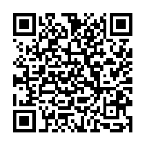 性子最为急躁的迪飞一把提起了坐在最前面一名同学二维码生成