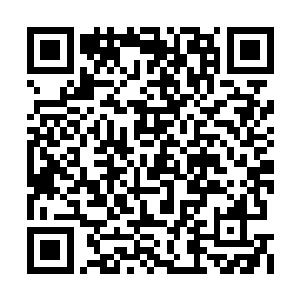 性情较为散漫的金属龙们也空前地团结一致起来二维码生成