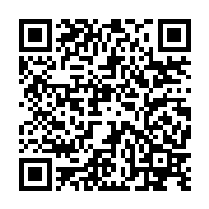 怪不得二叔忽然心血来潮的说要给自己安排一个大丫鬟二维码生成