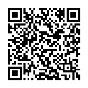 怪不得只有魔王级别的魔族才有资格享用万魔丹二维码生成