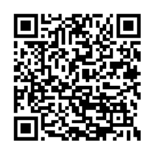 怪不得早上我们教授还奇怪我为什么来学校了呢二维码生成