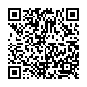 怪不得自己在寂灭之森里无法攻破那个强大的禁制二维码生成