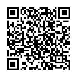 怪不得自己这位九师姐会问自己有没有得罪什么人二维码生成