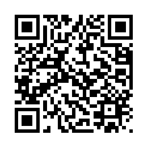 怪不得被秦铮和英亲王妃同时看重二维码生成