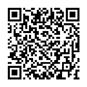 怪不得这里的村民一个个看起来都极为粗狂老成二维码生成