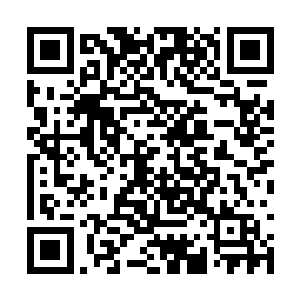 怪不得魔神一族修士进入虚空界之后都没有了消息二维码生成