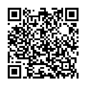 总不会傻到在自己裤腰带上安放一颗定时炸弹吧二维码生成