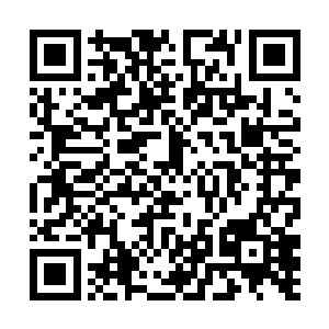 总不能再找个地方重新开始吧……要不找你爸爸说说二维码生成