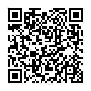总不能每次都在家里等着你受伤才能派上用场照顾你吧二维码生成