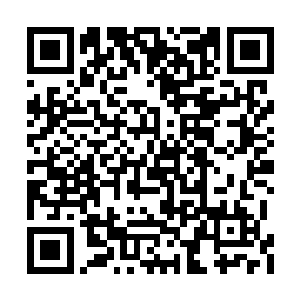 总不能说自己不相信自家女儿的眼光吧……啊呸二维码生成