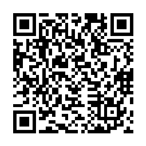 总不至于扔出十万张破法弓就是为了让别人弄死他们几个二维码生成