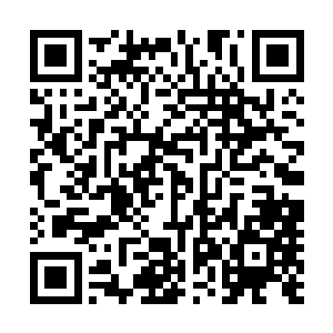 总不见得让雷成虎的星舰一路冲撞到咱们的总旗舰面前来吧二维码生成