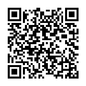 总之……请你赶紧跟大家一块儿朝演武台的方向跑二维码生成