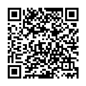 总之当时的我根本没有支撑下来就被琉璃女王拦腰抱起二维码生成