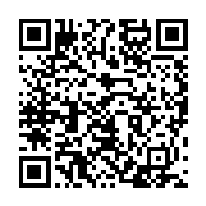 总之贝海的电话相当于给梅尔这边加了一个谈判的小筹码二维码生成