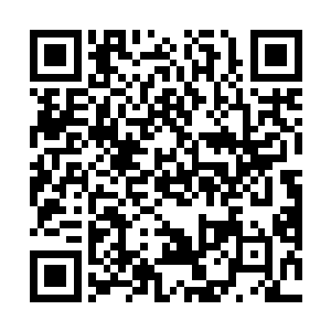 总之近五千修士平均下来每个人有六只定位法镯的样子二维码生成