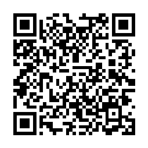 总共三千二百五十三块中品仙晶零五十块下品仙晶二维码生成