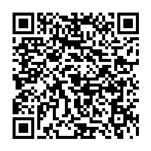 总共十几名天空圣师阶级的强者就这么在长阳府的上空上演了一场激烈大战二维码生成