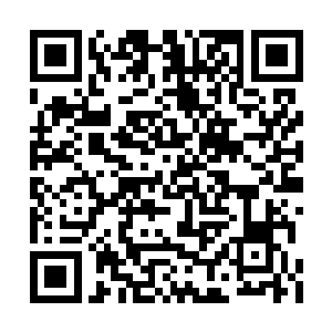 总好过整颗星球的地表都陷入无政府的混乱状态二维码生成