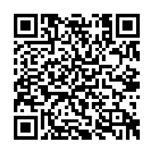 总有一天他阮刑天要将这个狗日的联邦踩在脚下二维码生成