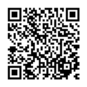 总有人会隐隐约约记得上一世甚至……很久很久以前的某些事情二维码生成