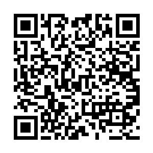 总算把这一路上许琴扬碎碎念地显摆自己这口气给吐了出来二维码生成