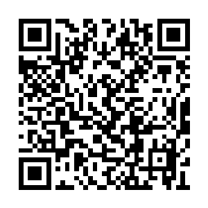 总算是将自己的兄弟脱离了那个温暖湿润的地方二维码生成