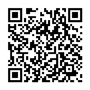 总算没有让自己在剧情中白白遭受刀砍火烧之苦二维码生成