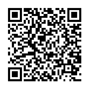 总算那一点金之本源的吸收让唐劫终于如醍醐灌顶般二维码生成