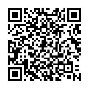 总能凭借着只言片语或者某个画面回忆起曾经看到过的场面二维码生成