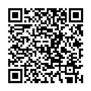 总觉得李太后对达摩遗体之事太过于执着和认真了二维码生成