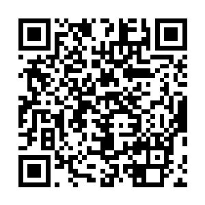 总觉得这林晓军怎么看怎么像是来林晓夕这蹭吃蹭喝来的二维码生成