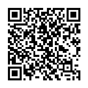 总部最权威的军医对他们下达了无法继续操控机甲的判决书二维码生成