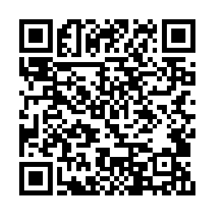 恍然间一面白狮圣兽之相仿佛从他身上骤而冲出二维码生成