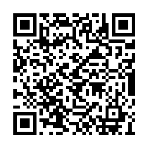 恐怕一次就把许紫烟丹田内的所有元力吸收一空二维码生成