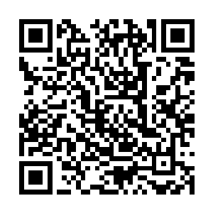 恐怕也只有这个传说中来自九幽地狱最善战的种族二维码生成