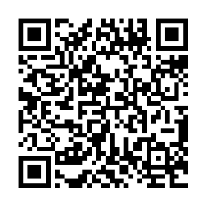 恐怕也唯有如神王陛下那样的神王境强者才有这样的实力二维码生成