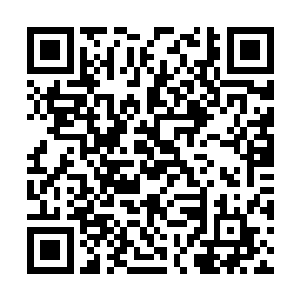 恐怕也就只有叶紫芸和肖凝儿能够与之相提并论了二维码生成