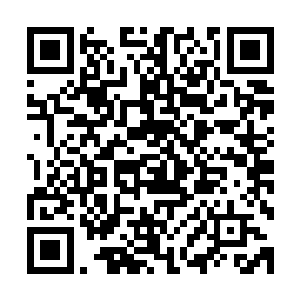 恐怕也就比自己当初刚经历孤岛地下迷宫的时候强一点点罢了二维码生成