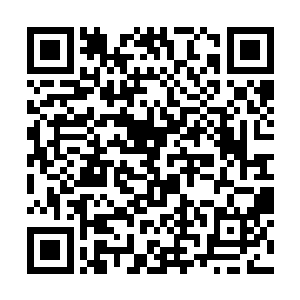 恐怕他们还无法将那头实力尚在二阶巅峰的黑虎留下二维码生成