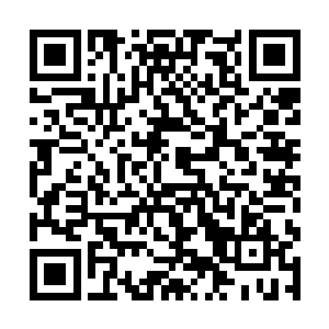 恐怕他已经被身体中无处不在的剧烈痛楚给弄昏过去二维码生成