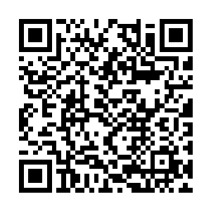 恐怕他自己也不太明白万兽无疆究竟有什么用处吧二维码生成